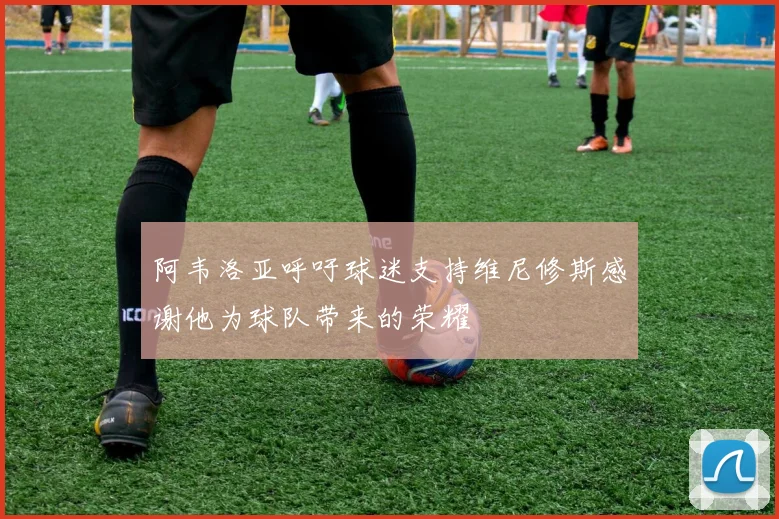 阿韦洛亚呼吁球迷支持维尼修斯感谢他为球队带来的荣耀